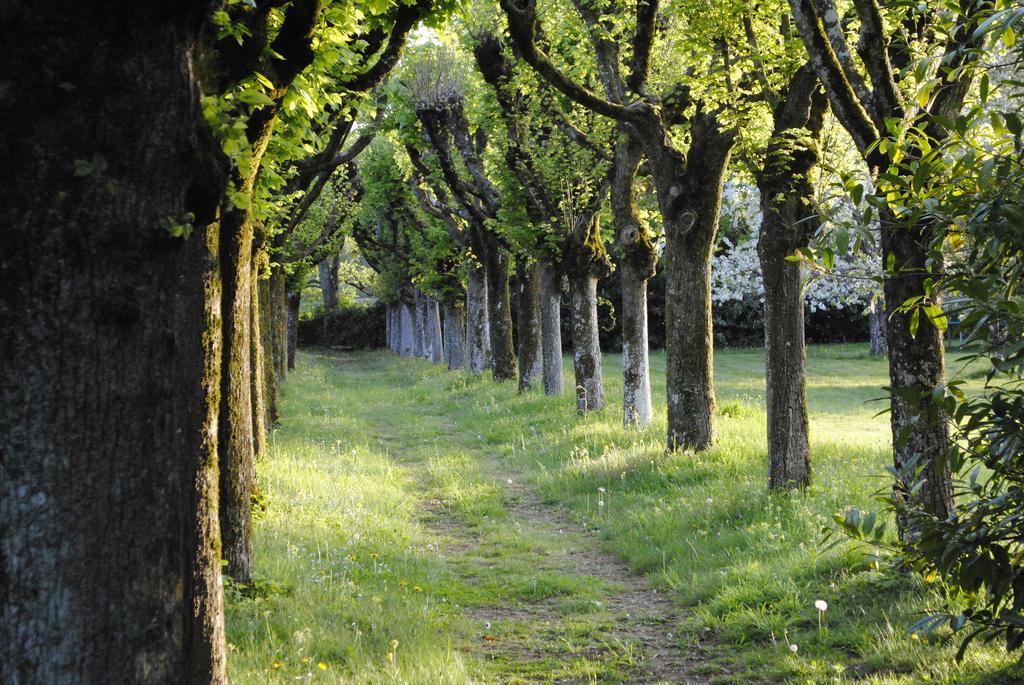 Eco-Gite - Domaine De La Gavolerie Besse-sur-Braye Luaran gambar