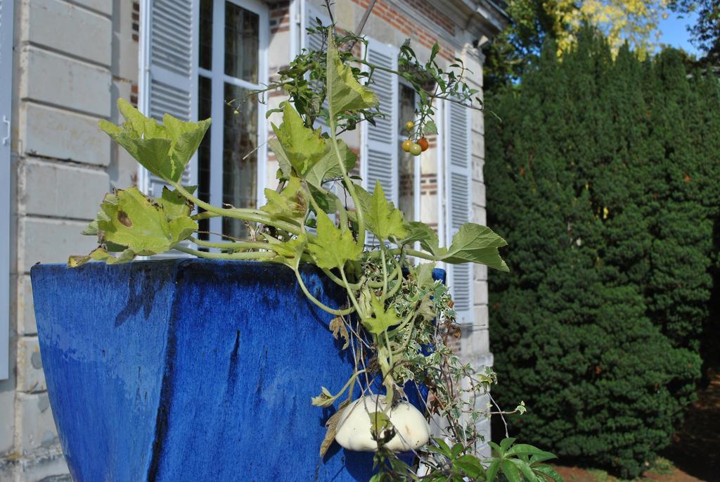Eco-Gite - Domaine De La Gavolerie Besse-sur-Braye Luaran gambar